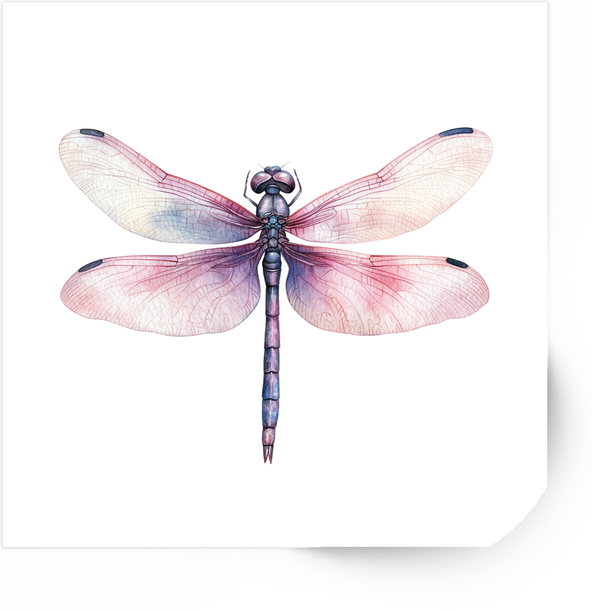 Dragonfly Sticker | Watercolor Pink Purple Insect Decal | Nature Lover Gift