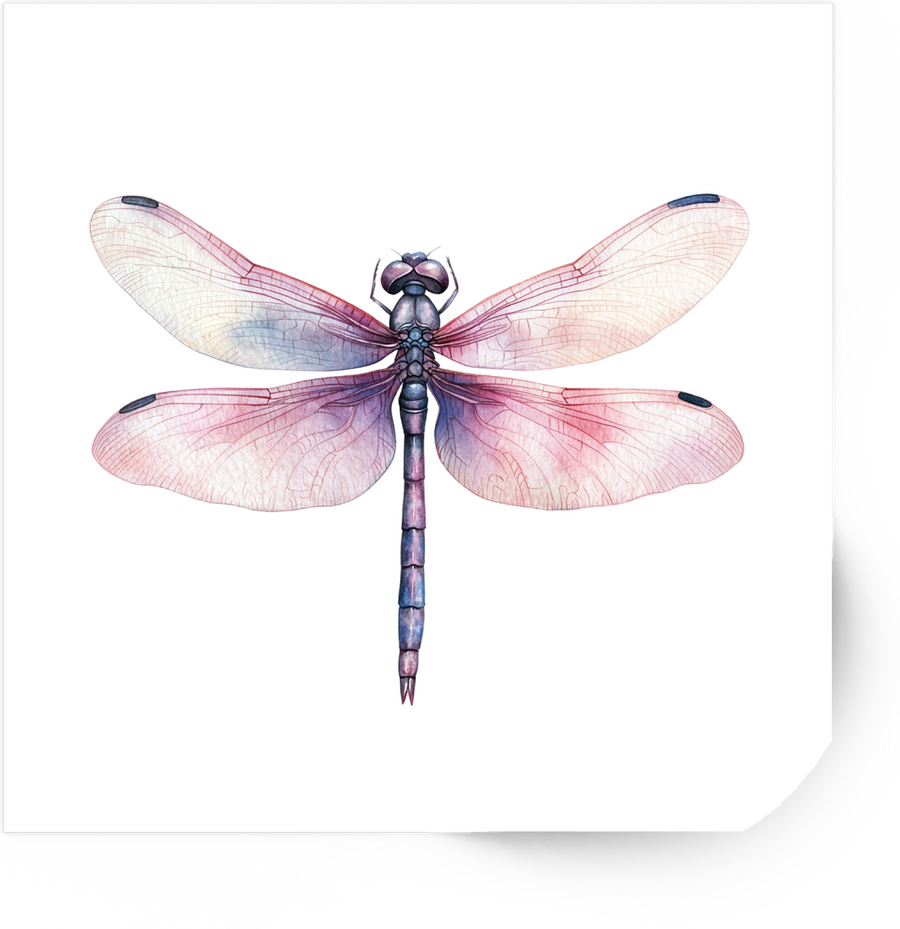 Dragonfly Sticker | Watercolor Pink Purple Insect Decal | Nature Lover Gift