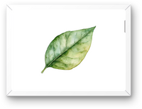 Thumbnail for Green Leaf Wall Art | Minimalist Watercolor Botanical Print | Modern Nature Gift